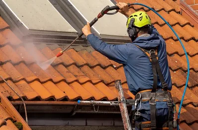 Démoussage et hydrofuge de toiture à Condamine